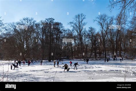 Ice Skating In Winter Sunshine On Frozen Lake In Tiergarten Park In
