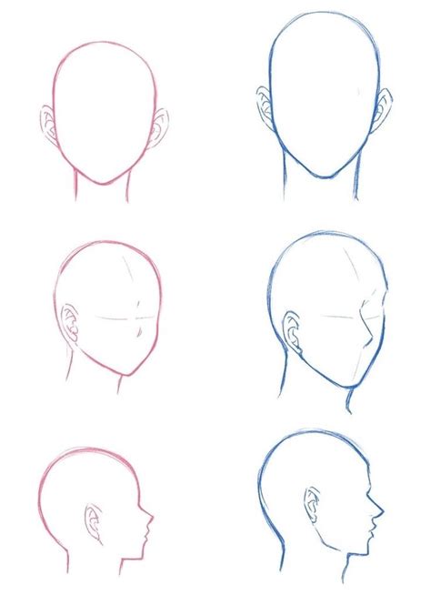 Anime Head Drawing Reference