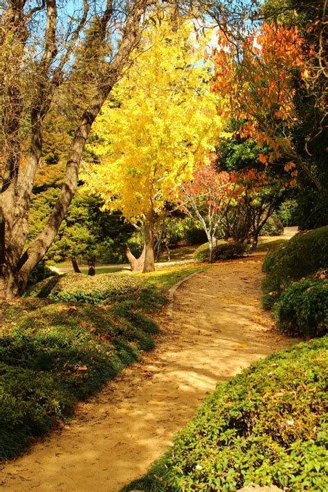 The Japanese Gardens In Toowoomba Autumn Photography Scenery Nature