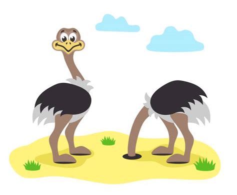 130 Ostrich Head In The Sand Stock Photos Pictures And Royalty Free