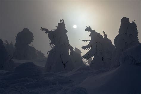 Snow Monsters Mount Zao Getty Images Gallery
