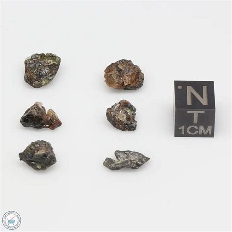 Admire Pallasite Meteorite Nuggets Admc 22