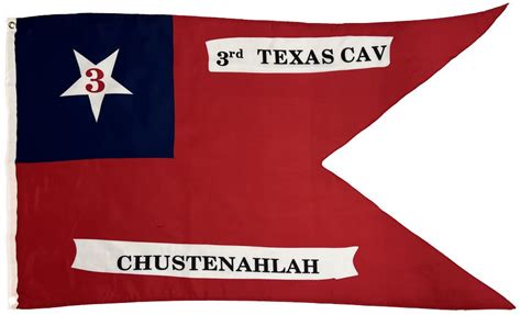 3rd Texas Cavalry Regiment 3×5 Guidon Flag I Americas Flags