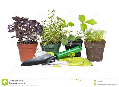 Gardening Tools And Plants Stock Image Image Of