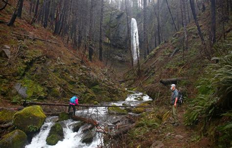 What You Need To Know Before Hiking The Reopened Eagle Creek Trail