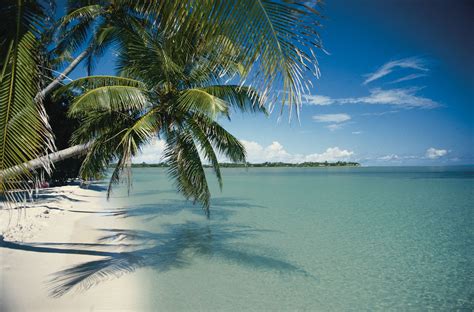 30ft dock from $1,067, book your vacation in the keys relax, kayak & fish. Florida Keys Wallpapers (53+ pictures)