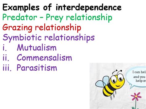 Interdependence Teaching Resources