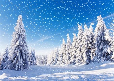 Buy Leowefowa Picturesque Winter Snowy Pine Forest Backdrop 7x5ft Vinyl