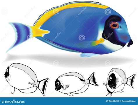 Blue Tang Tropical Colorful Fish Watercolor Painting Illustration Dory