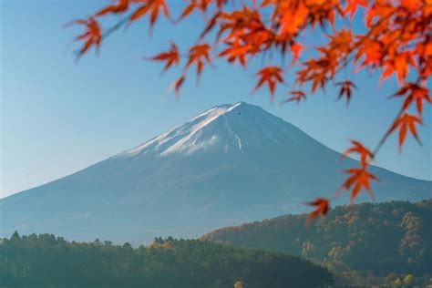 Premium Photo Mt Fuji In Autumn With Red Maple Leaves