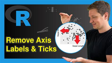 Remove Axis Labels Ticks Of Ggplot2 Plot R Programming Example