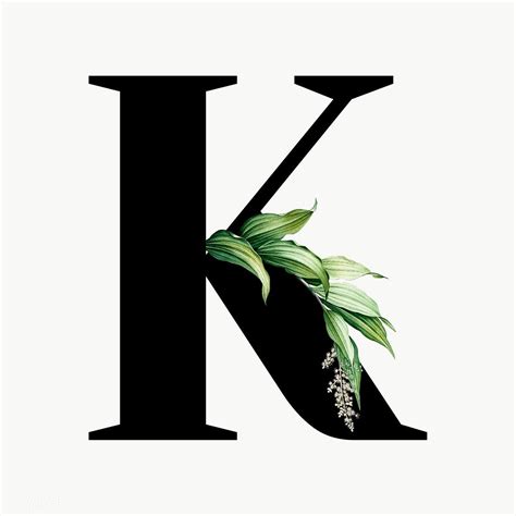 Botanical Capital Letter K Transparent Png Premium Image By Rawpixel Com Aum Kappy Kappy