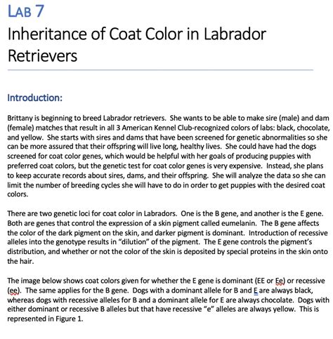 Solved Lab 7 Inheritance Of Coat Color In Labrador