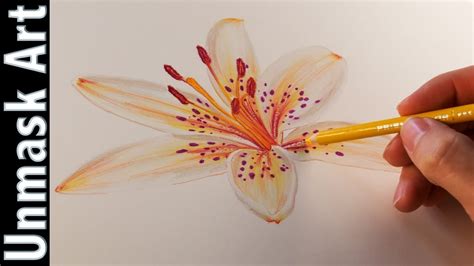 Colored Pencil Flower Tutorial Is Creating Animal Art Tutorials In