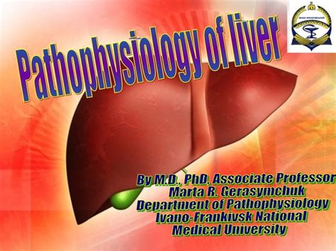 Pathophysiology Of Liver