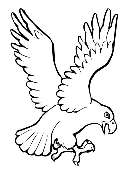 Bird Wings Coloring Pages At Free Printable