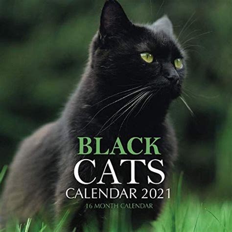 Black Cat Calendars 2021 Great Ts For Cat Lovers Cat Calendar