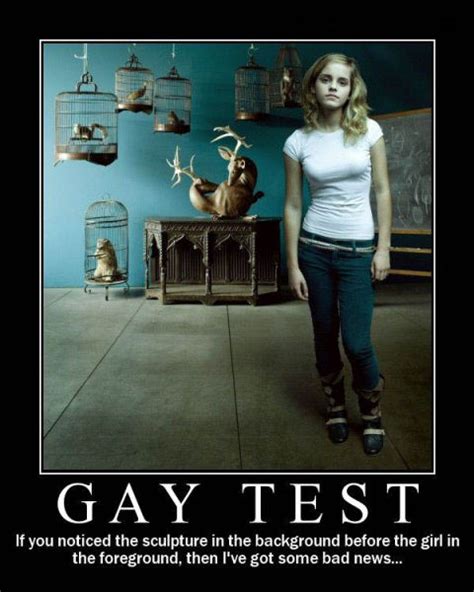 Demotivational Posters Test If Youre Gay 49 Pics