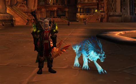 The best spec for leveling as a hunter in classic wow is, of course, beast mastery : Hunter Pets and BM, MM, SV Dual Spec