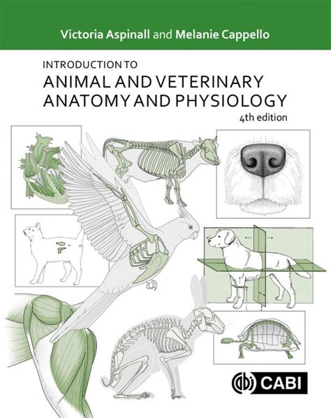 Introduction To Animal And Veterinary Anatomy And Physiology 4th