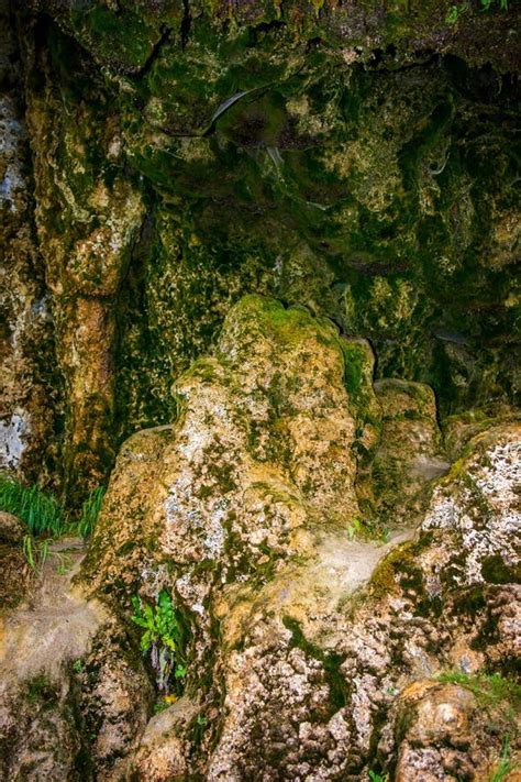 Photo Of Stone Texture With Moss In Cave Stock Photo Image Of