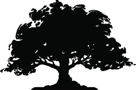 Oak Tree Illustrations Royalty Free Vector Graphics