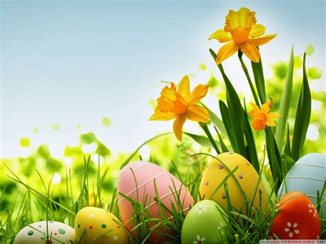 Free 20 Best Happy Easter Backgrounds In Psd Ai