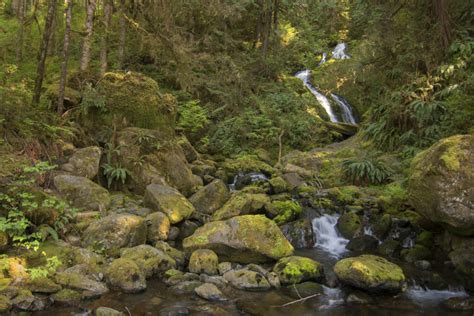 The Best Rain Forest Waterfalls On The Olympic Peninsula Wa