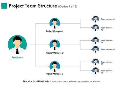 Project Team Structure Ppt Examples Slides Powerpoint Presentation