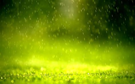 1920x1200 Rain Green Grass Wallpaper Coolwallpapersme