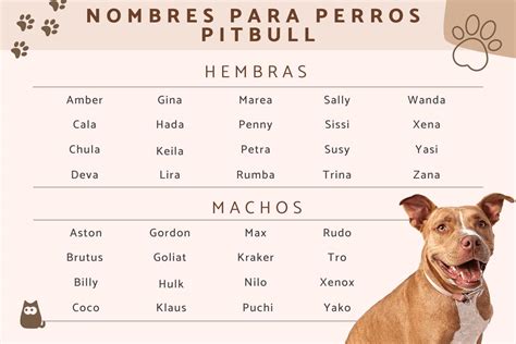 Nombres Para Perros Pitbulls