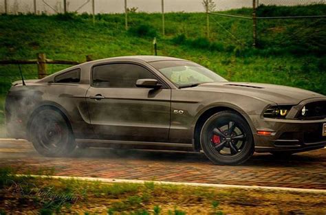 Since 1964, the ford mustang has been one of a handful of symbols of american muscle. 5th gen Sterling Grey 2014 Ford Mustang GT 5.0 V8 For Sale ...