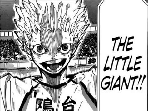 Love by your big brother; THE LITTLE GIANT! Haikyuu!! Chapter 245 #MangaNerdigan ...
