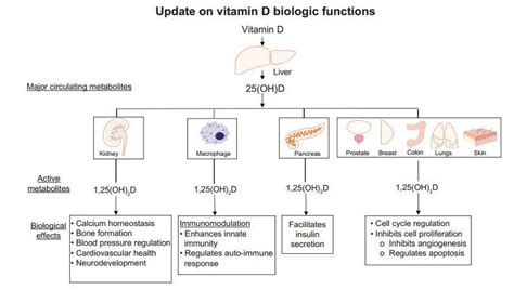 To get enough vitamin d, children often need to take a multivitamin with vitamin d or a vitamin d supplement. Pregnancy needs 4000 IU of vitamin D: current opinion ...