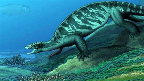 228 Million Year Old Fossil Reveals Complex Early History Of Turtles