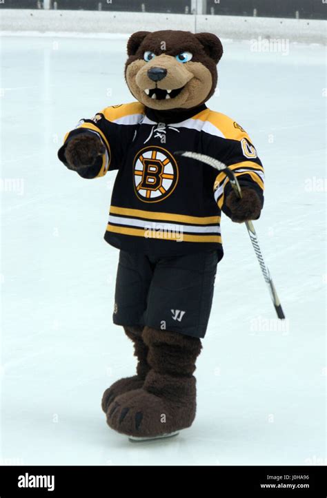 New York Ny Usa 13th Apr 2017 Boston Bruins Mascot Pictured At Nbc