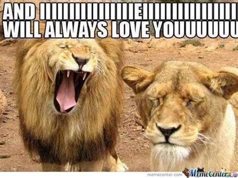 25 Lion Memes That Will Make You Feel Like A King In 2021 Funny Love