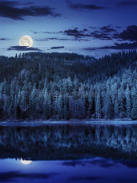 Lake Near The Mountain In Pine Forest At Night Stock Image Image Of