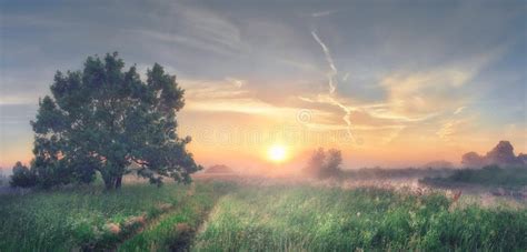 Landscape Of Beautiful Spring Morning Spring Misty Morning In M Stock
