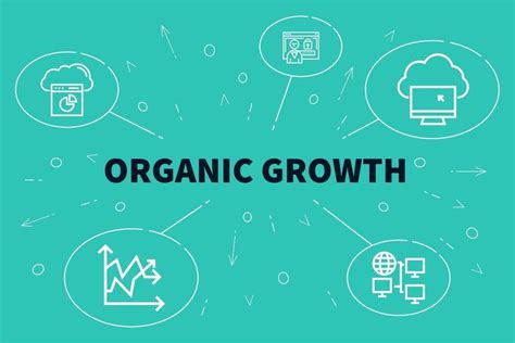 Organic Growth Overview How It Works Primary Strategies