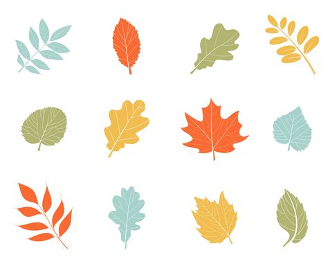 Vector Autumn Leaves Graphics ~ Creative Market