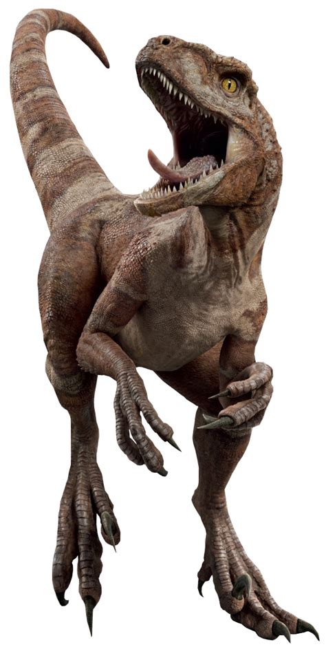 Jurassic World Atrociraptor Red Render 2 By Tsilvadino On Deviantart