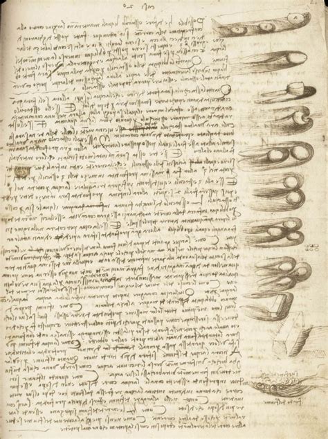 uffizi o codex leicester de leonardo da vinci guia brasileira em florença