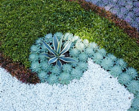 12 Alternatives To Grass For A No Mow Outdoor Space Real Homes