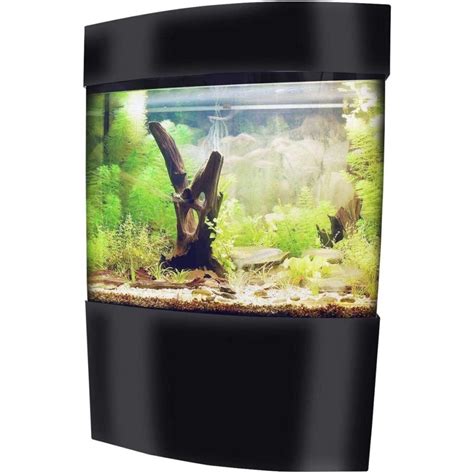Best 40 Gallon Fish Tank Breeder Long And More
