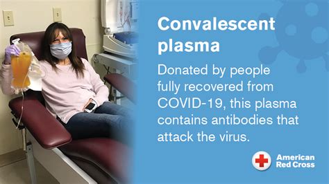 How Much Do You Get For Donating Plasma In Colorado Shante Beebe