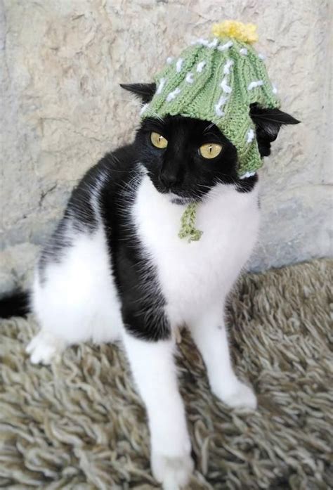 Cactus Cat Hat Flower Hat For Cat Halloween Costumes For Pet Cat