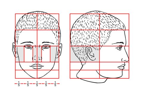 ¿cambiará Mi Cara Después De La Rinoplastia Multiesteticamx