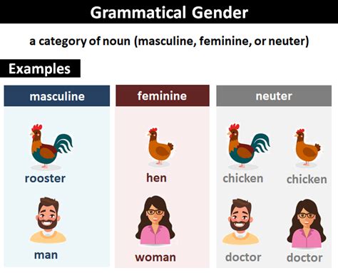 Masculine Gender Explanation And Examples