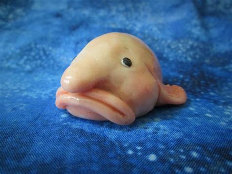 Check out blobfisch's art on deviantart. blobfish polymer clay - Google Search | Blobfish, Clay ...